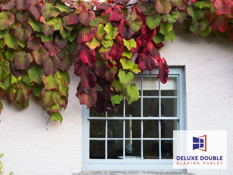 Double Glazing Purley