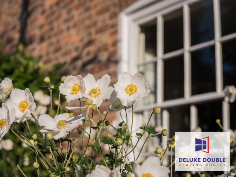 Sash Window Maintenance Tips